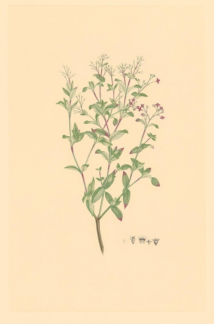 no HD illustration available (3)