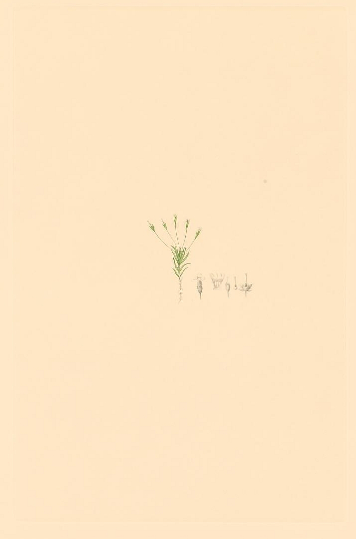 no HD illustration available (m1)