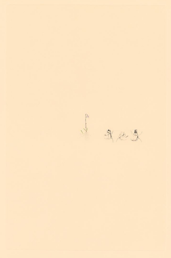 no HD illustration available (m1)