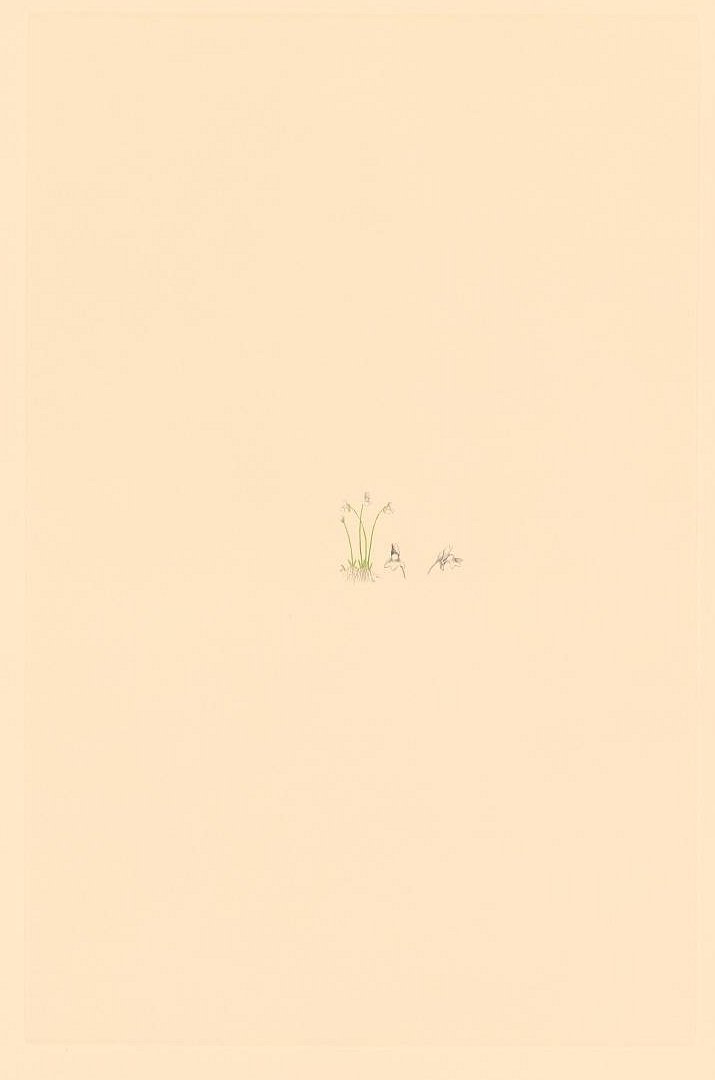 no HD illustration available (m1)