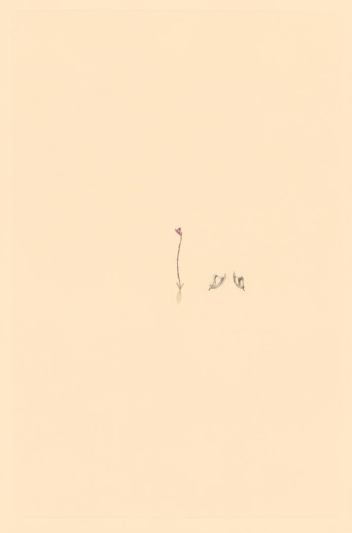 no HD illustration available (3)
