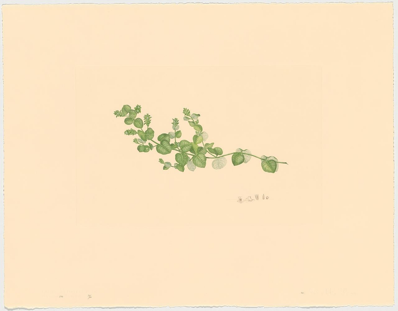no HD illustration available (3)
