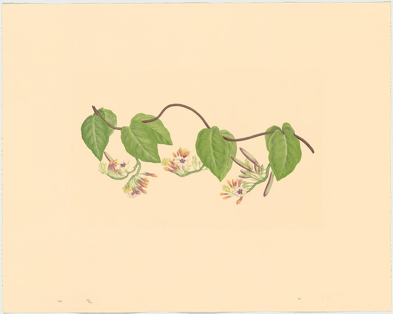 no HD illustration available (3)
