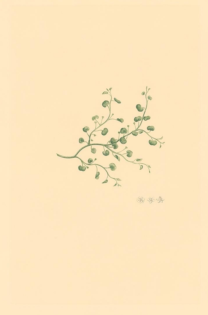no HD illustration available (3)