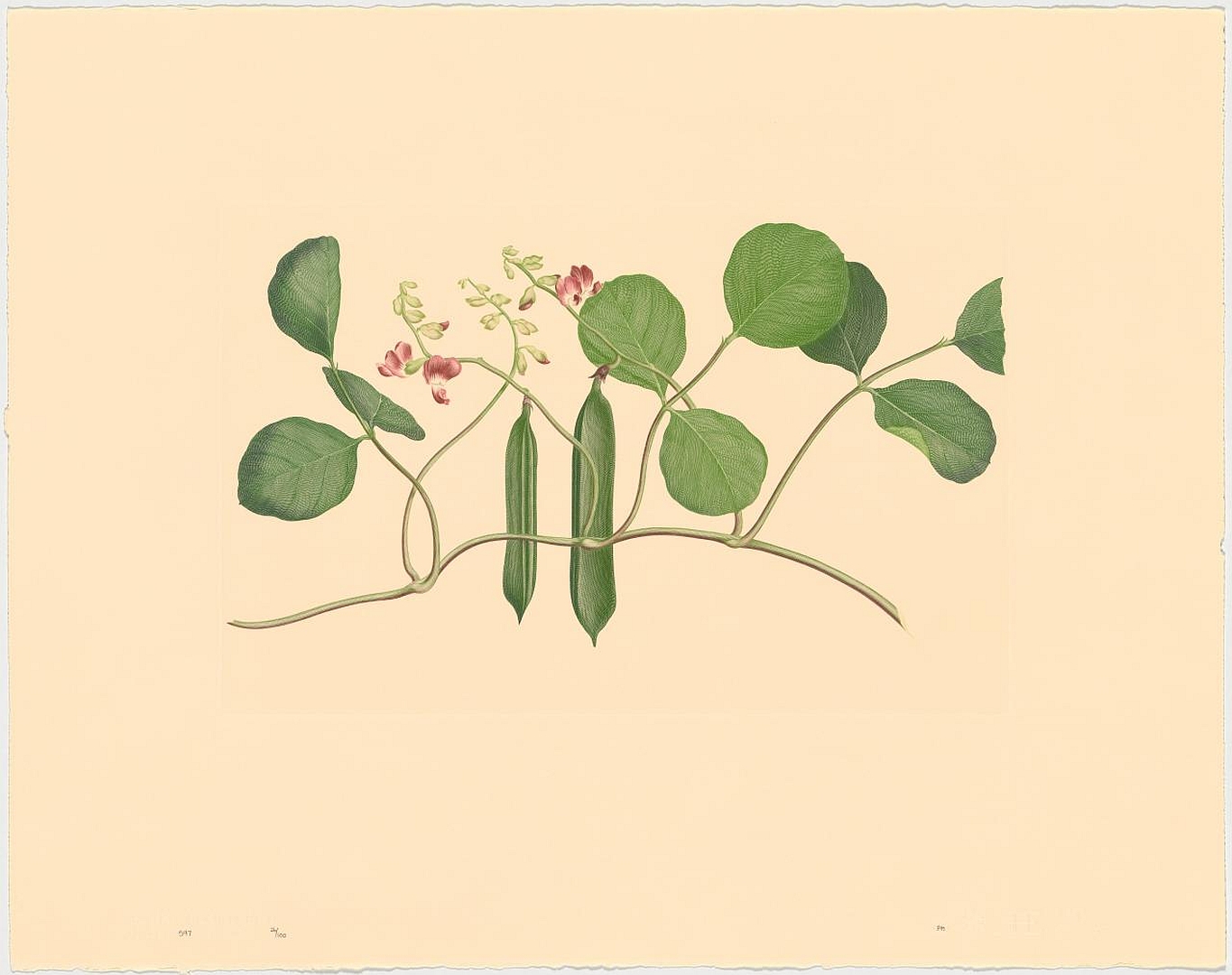 no HD illustration available (3)