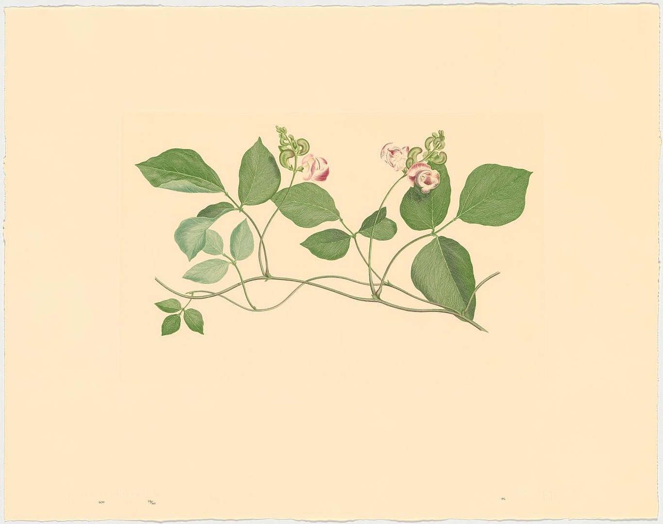 no HD illustration available (3)