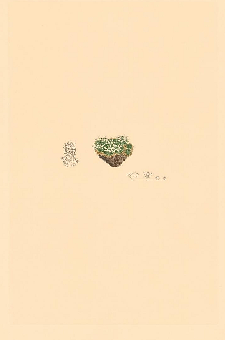 no HD illustration available (3)