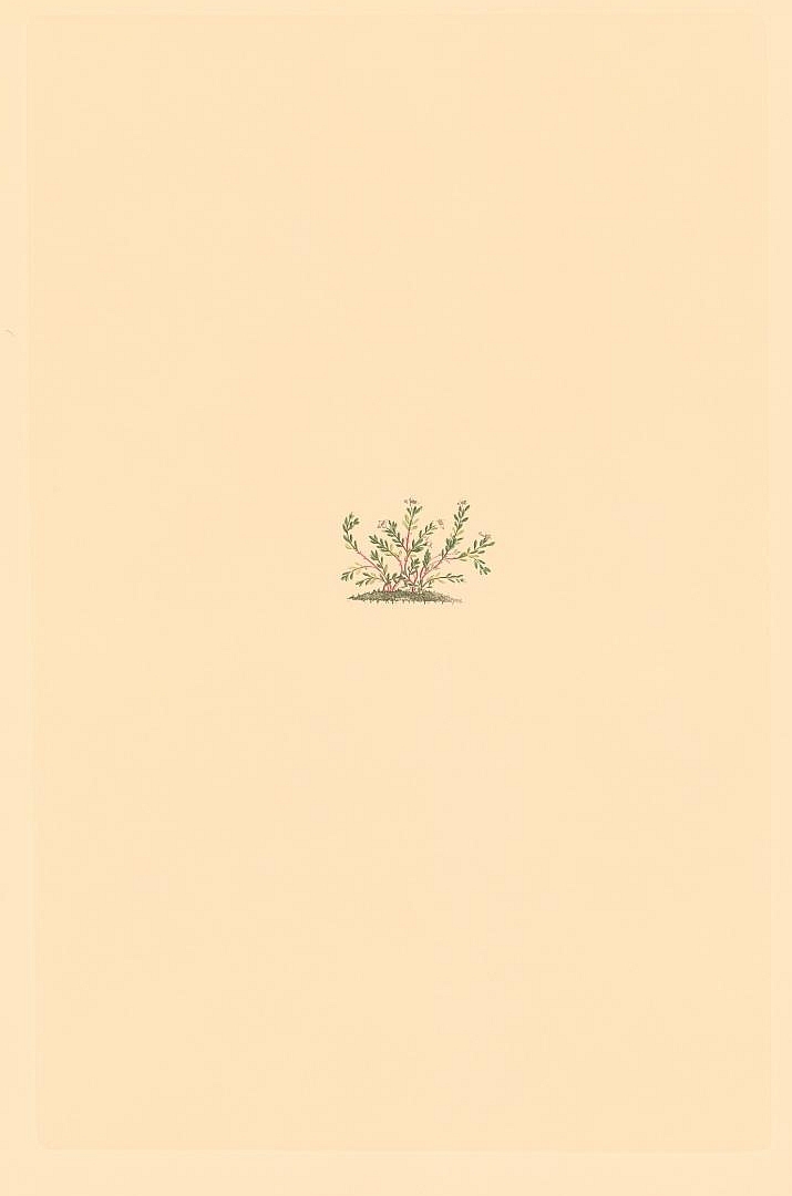 no HD illustration available (3)