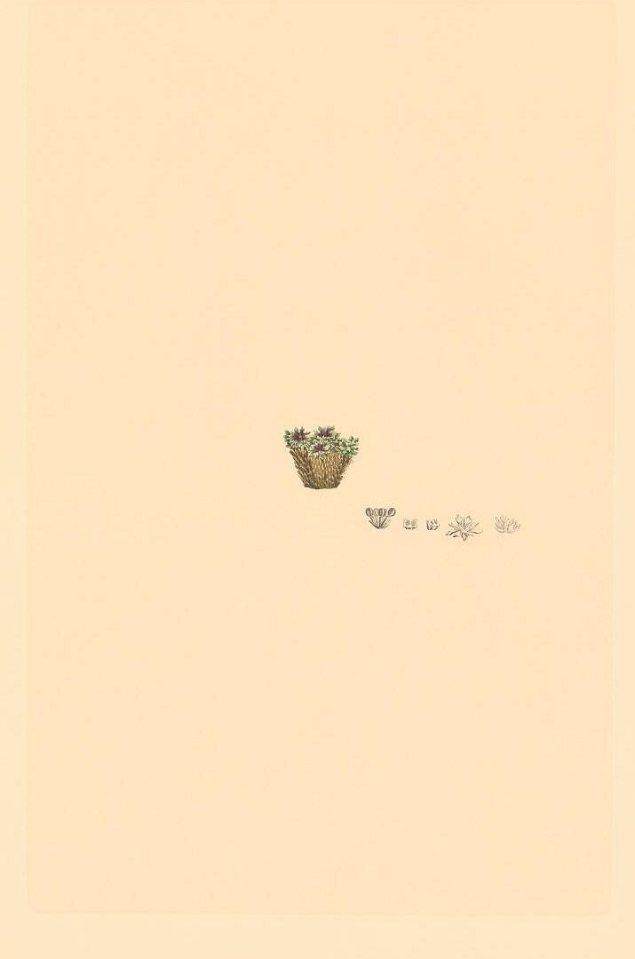 no HD illustration available (3)