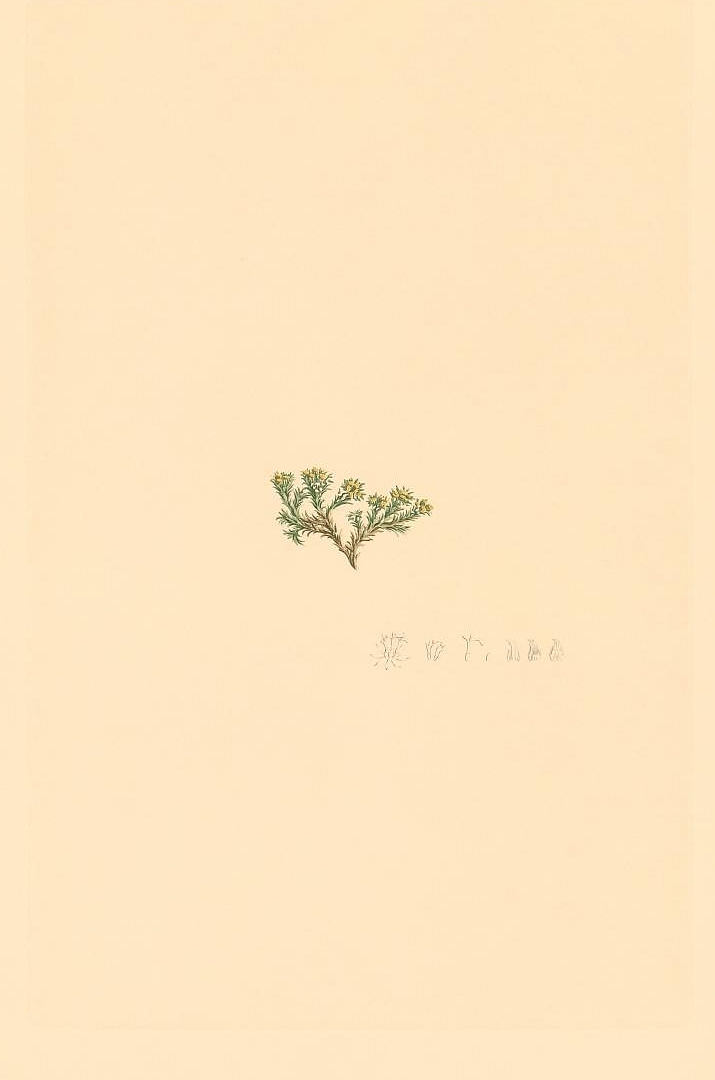 no HD illustration available (3)