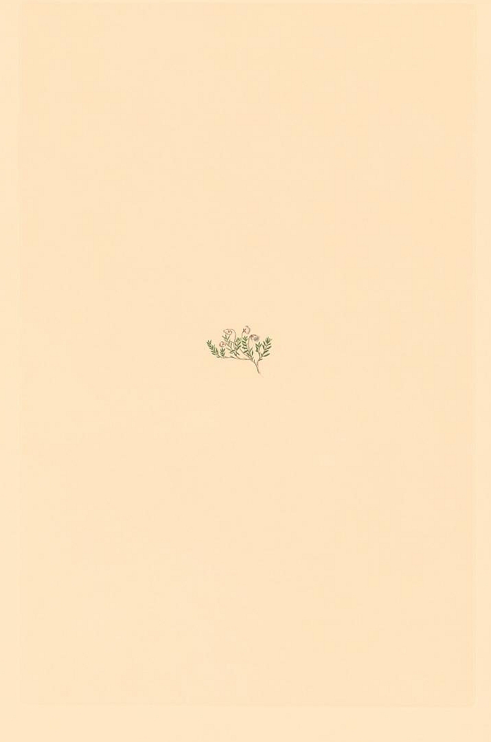 no HD illustration available (3)