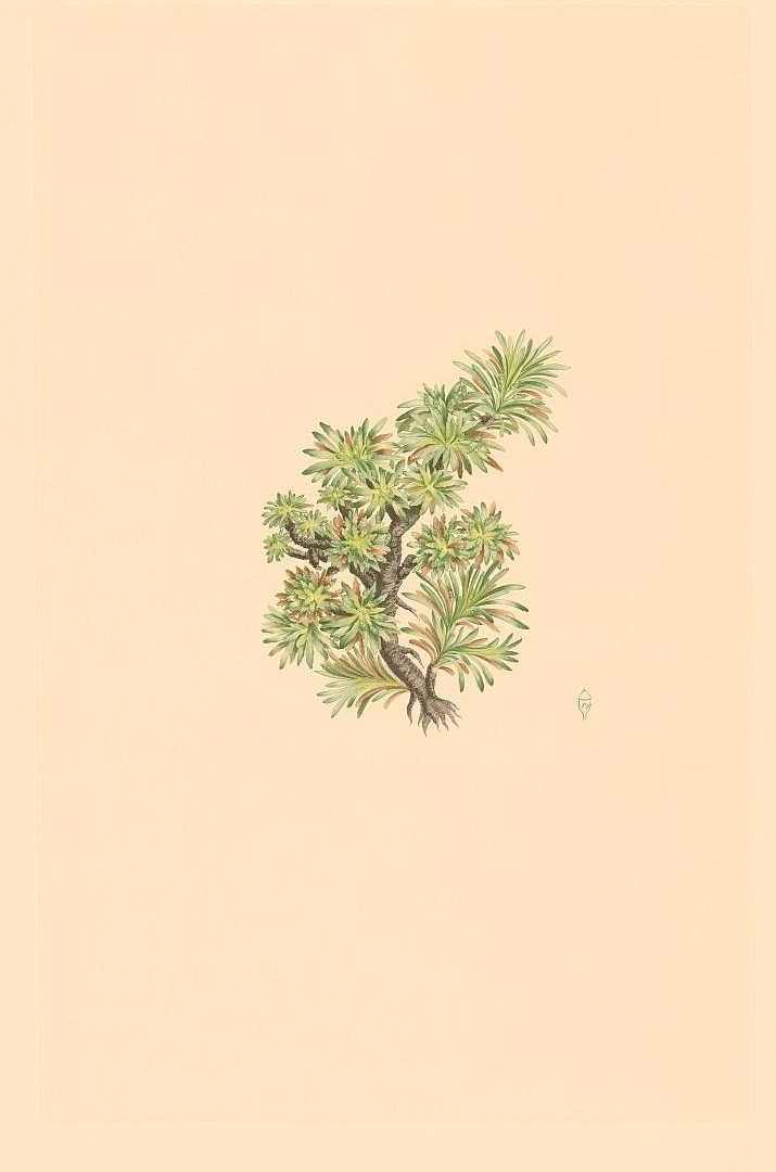 no HD illustration available (3)
