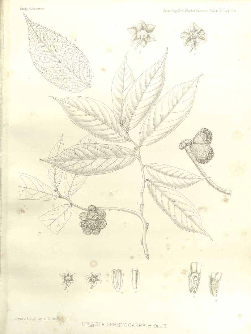 no HD illustration available (3)