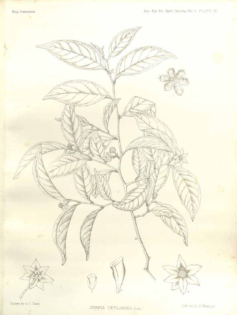 no HD illustration available (3)