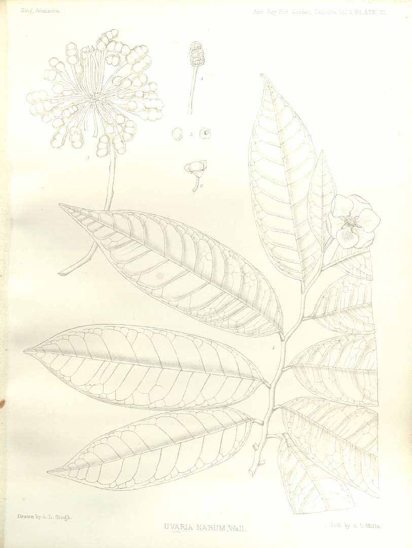 no HD illustration available (3)