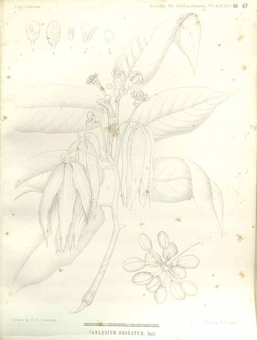 no HD illustration available (3)