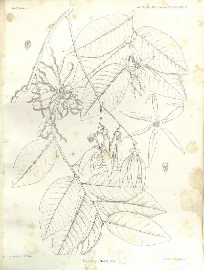 no HD illustration available (3)