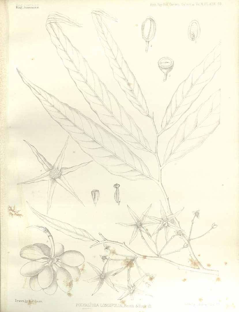 no HD illustration available (3)