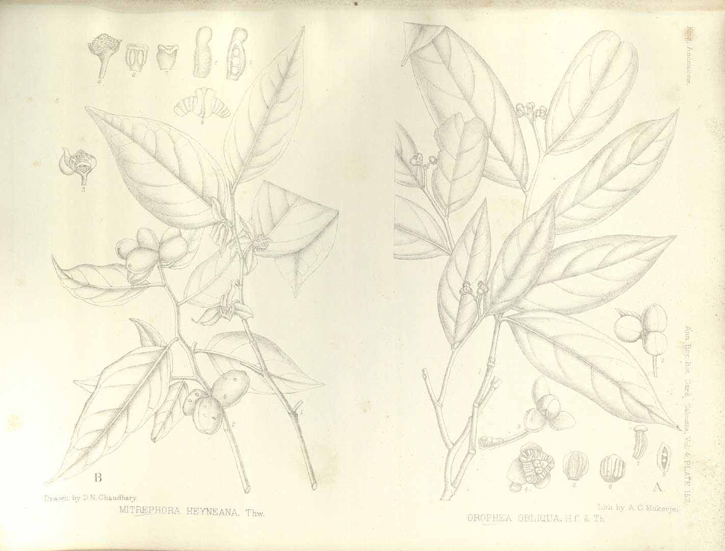 no HD illustration available (3)