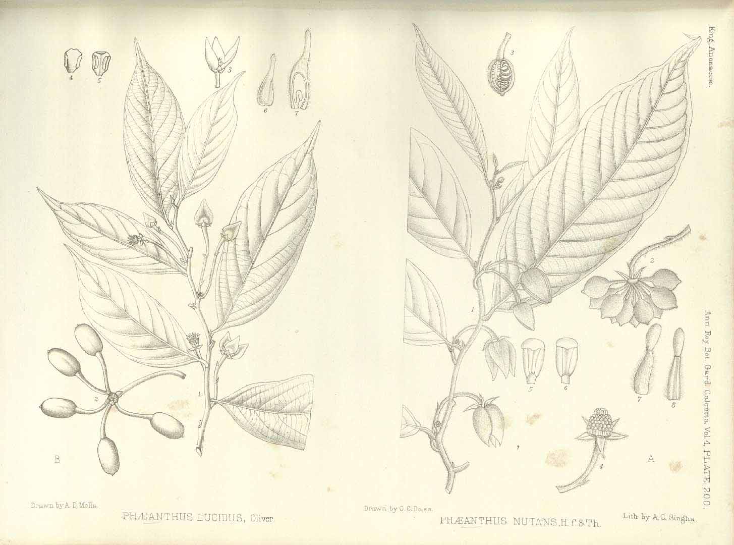 no HD illustration available (3)