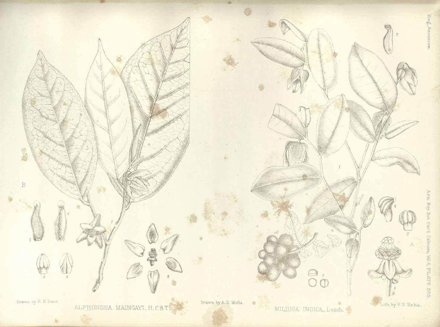 no HD illustration available (3)