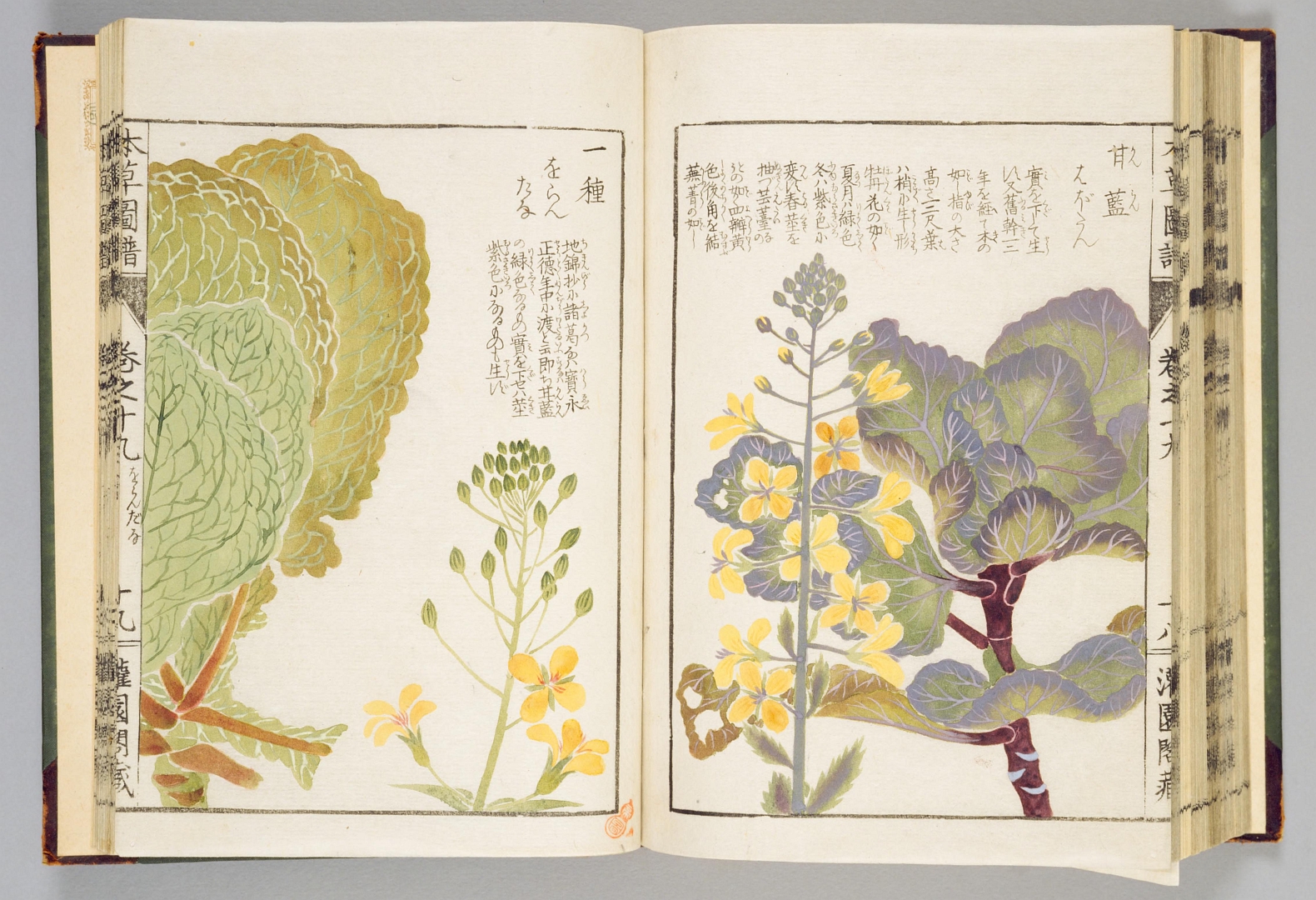 no HD illustration available (3)