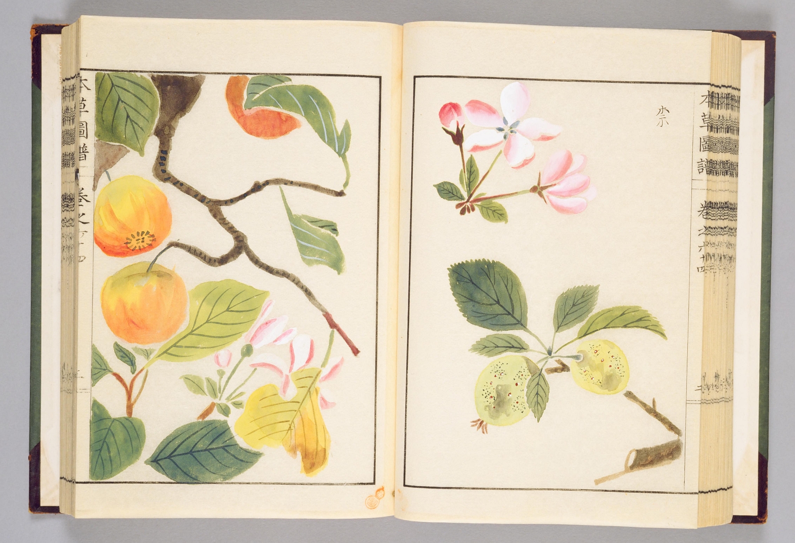 no HD illustration available (3)