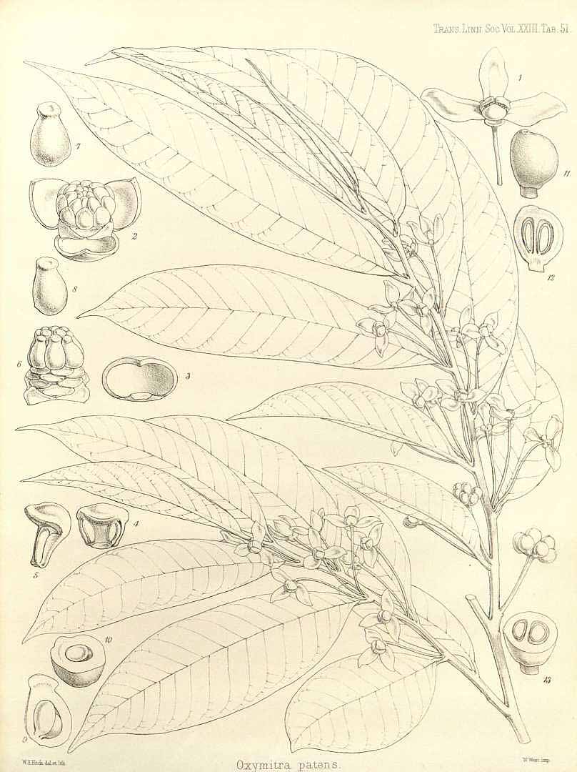 no HD illustration available (3)