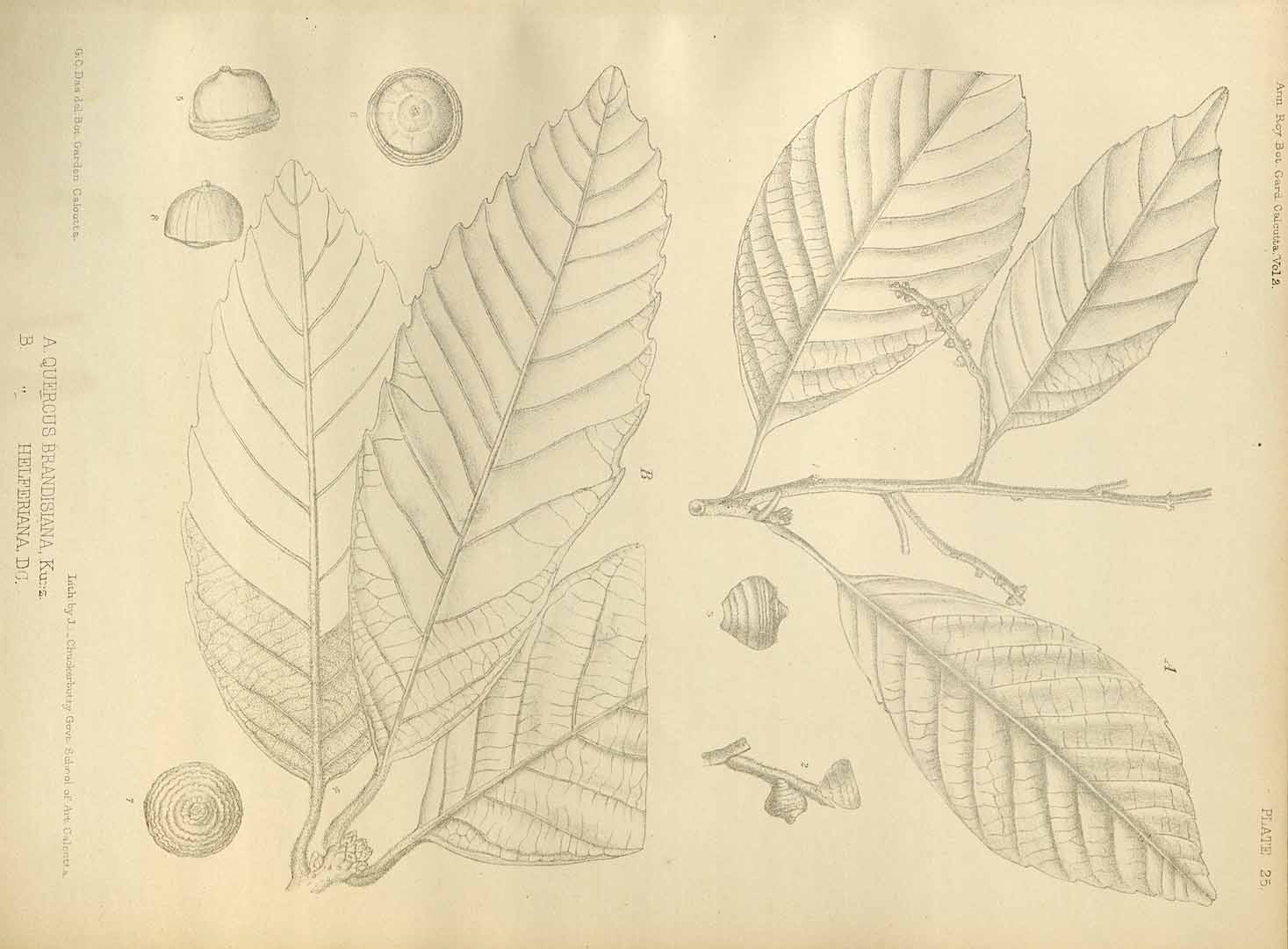 no HD illustration available (m2)