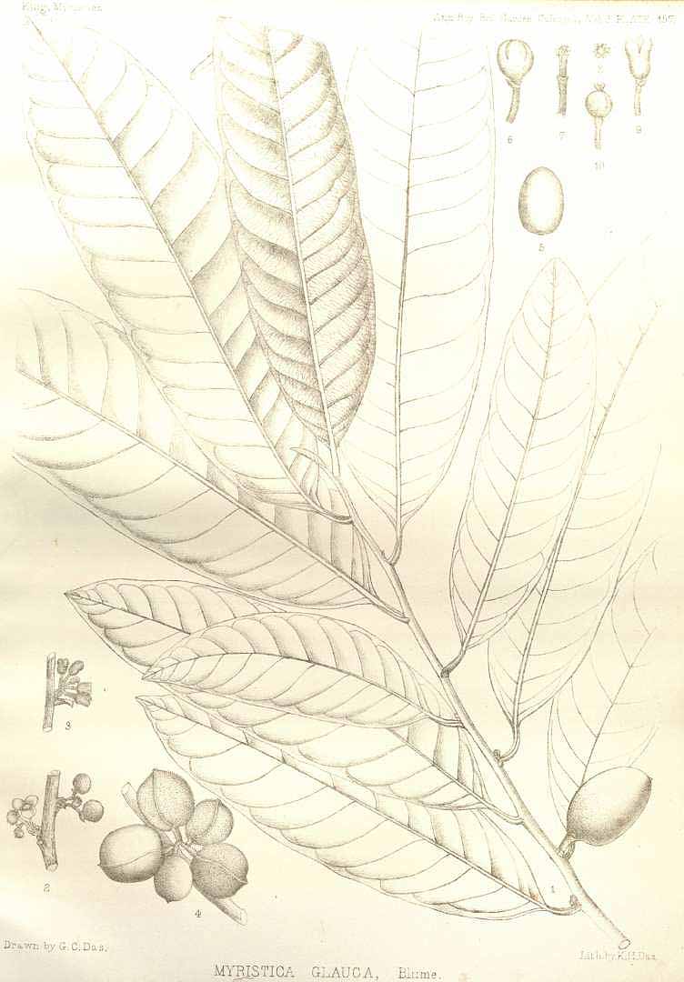 no HD illustration available (3)