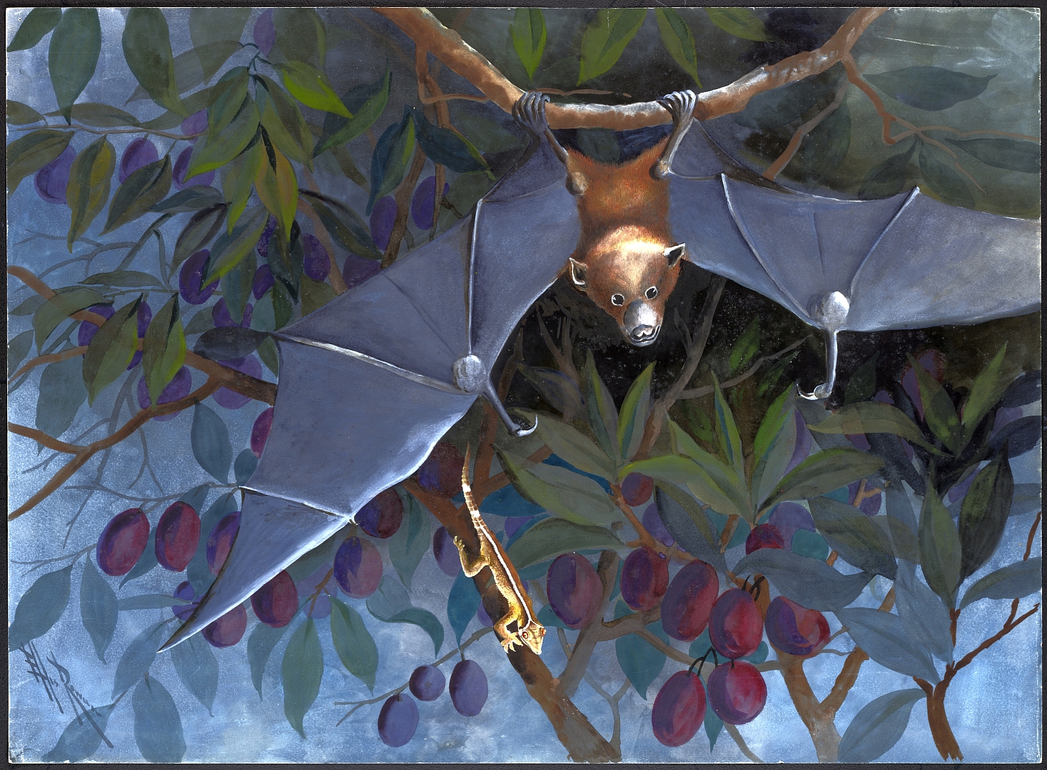 no HD illustration available (3)