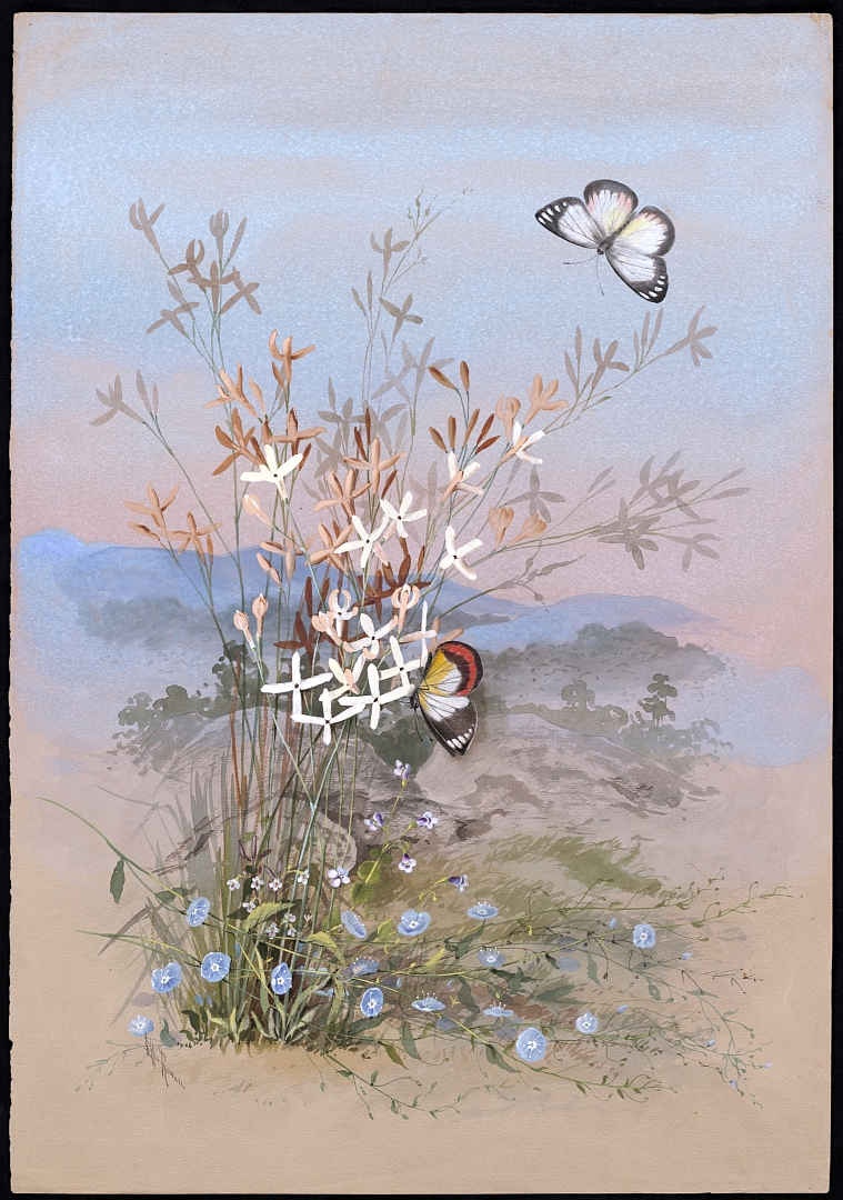 no HD illustration available (m1)