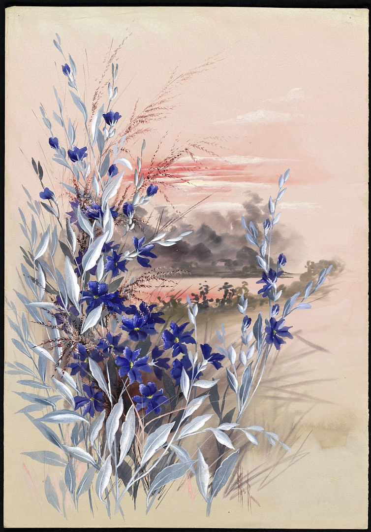 no HD illustration available (m1)