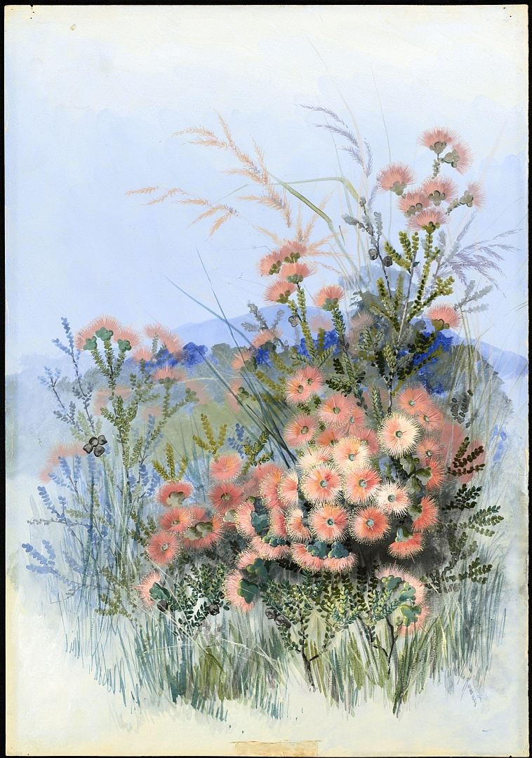 no HD illustration available (3)
