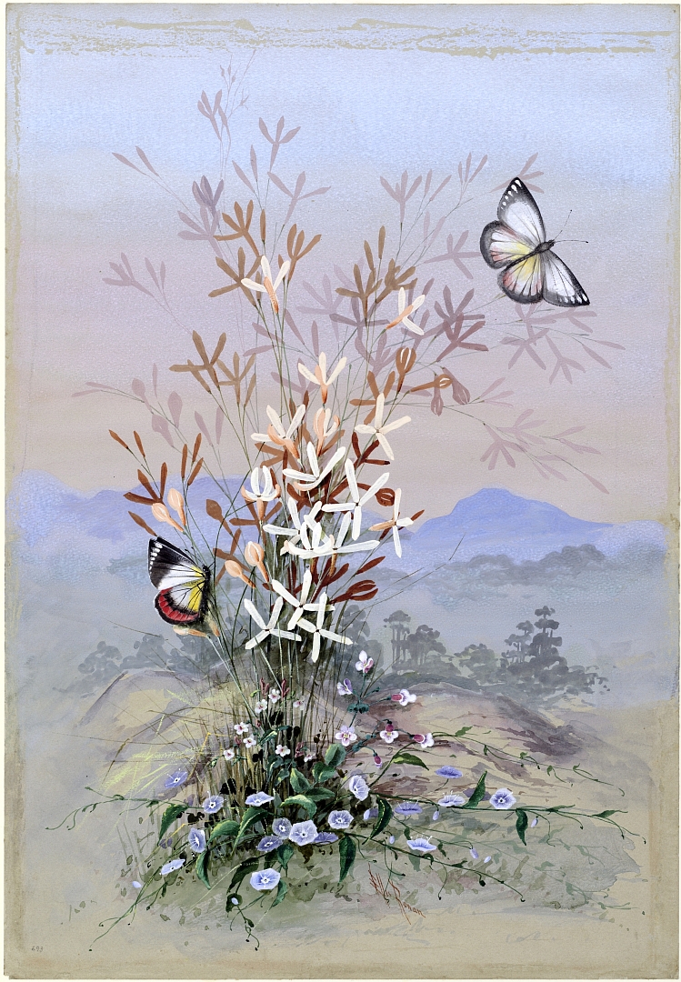 no HD illustration available (3)