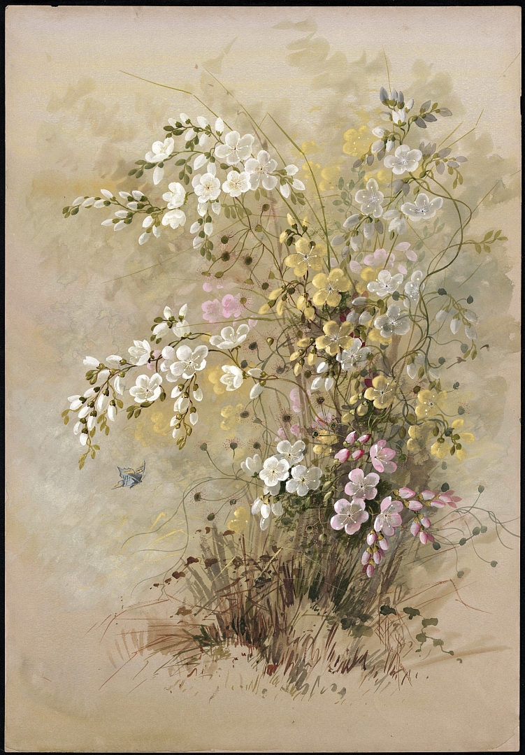 no HD illustration available (m1)