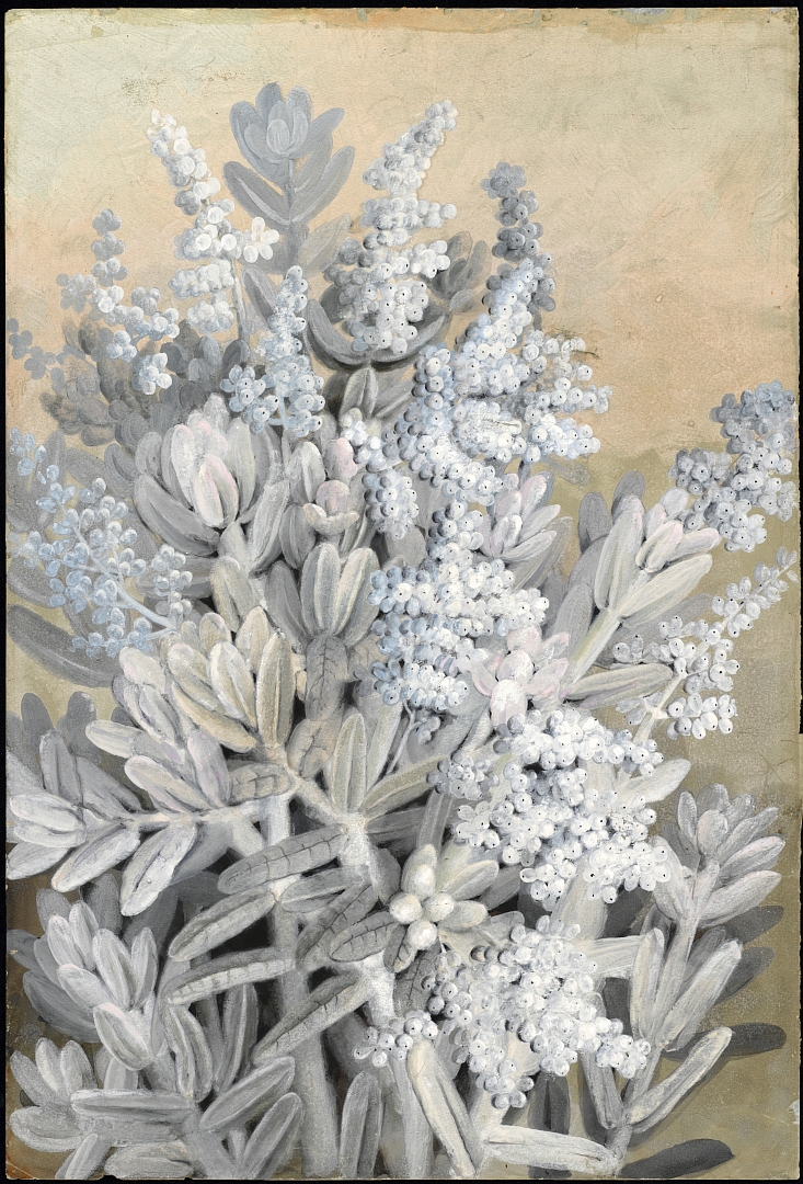 no HD illustration available (3)