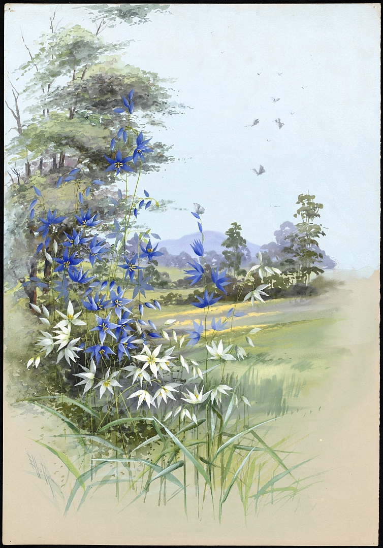 no HD illustration available (m1)