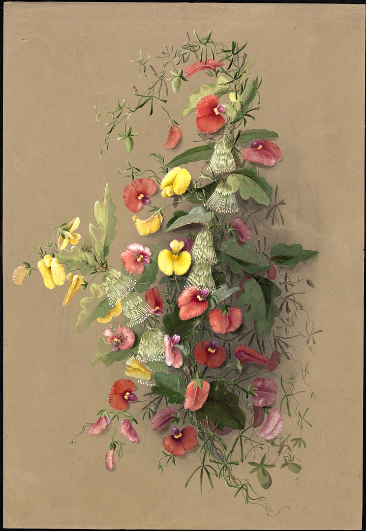 no HD illustration available (3)