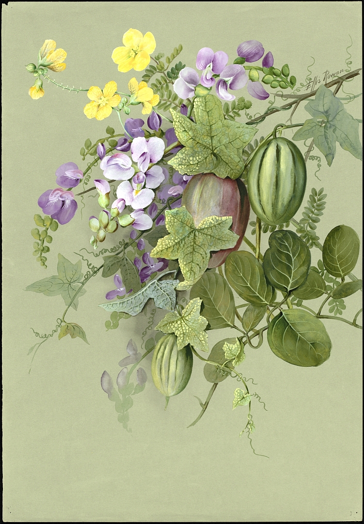 no HD illustration available (3)
