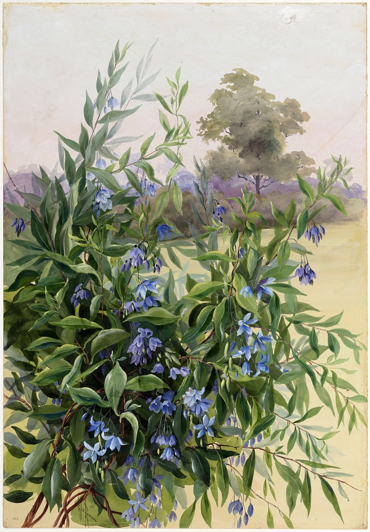 no HD illustration available (3)