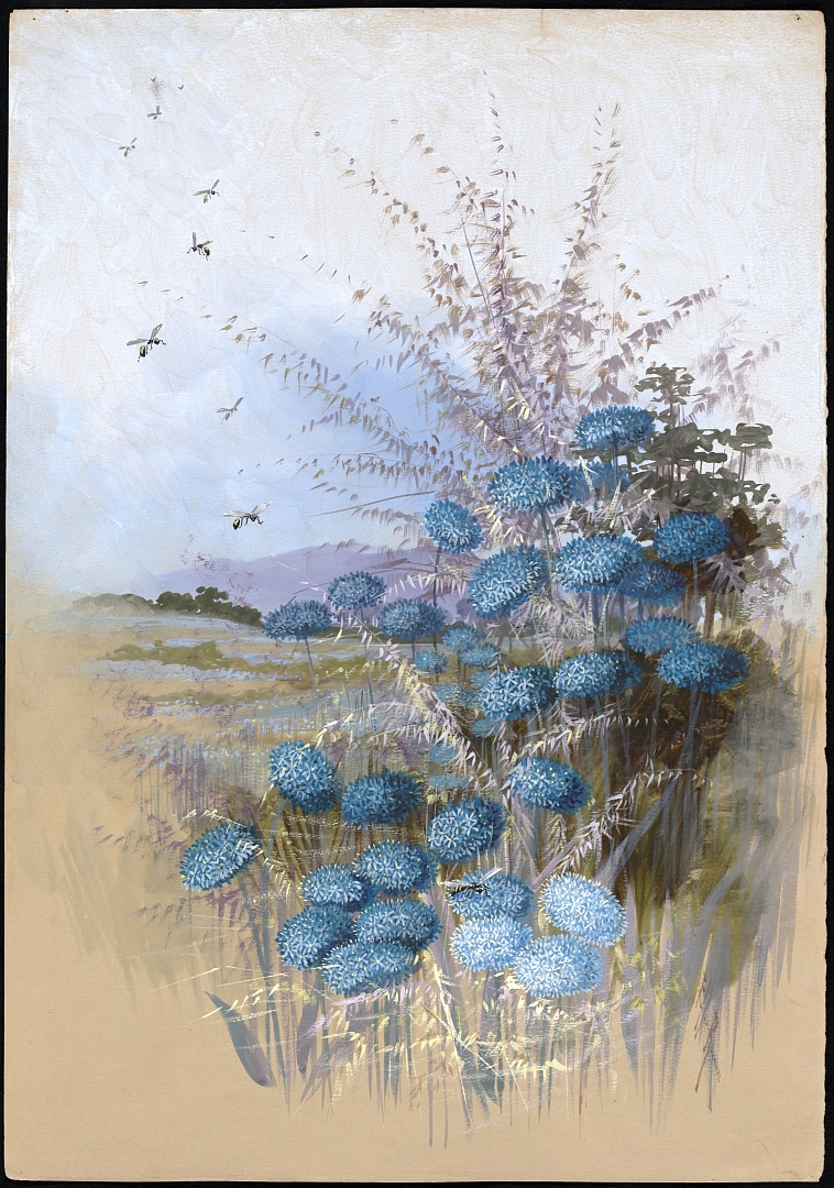 no HD illustration available (3)