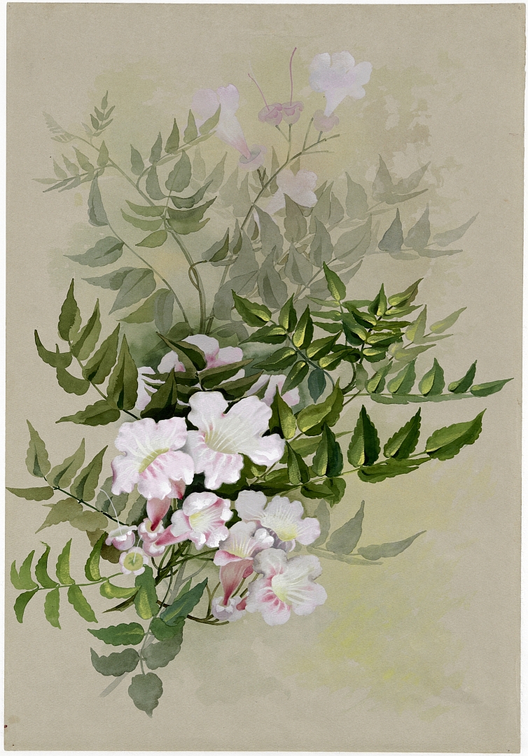 no HD illustration available (3)