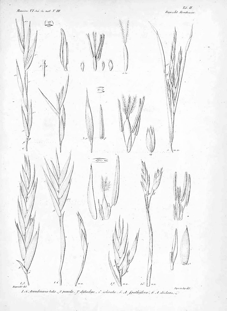no HD illustration available (3)