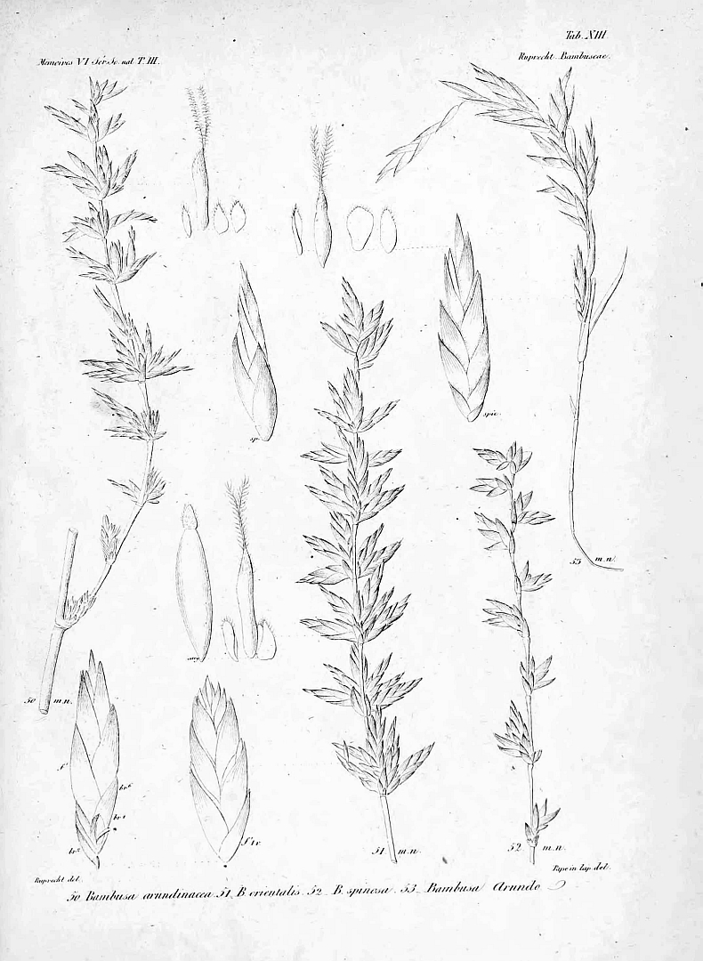 no HD illustration available (3)