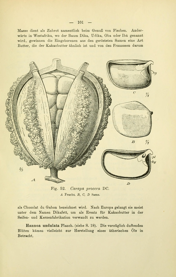 no HD illustration available (3)