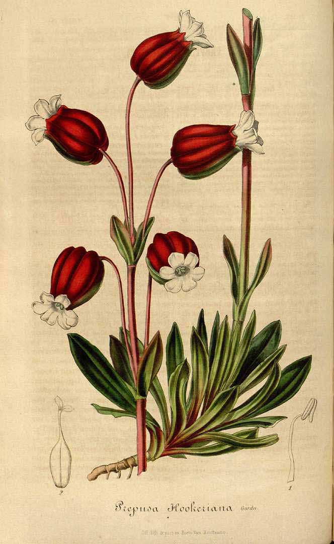 no HD illustration available (3)