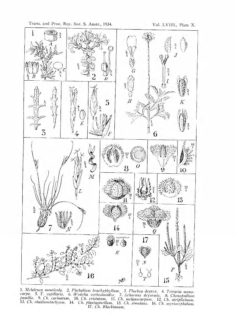 no HD illustration available (3)