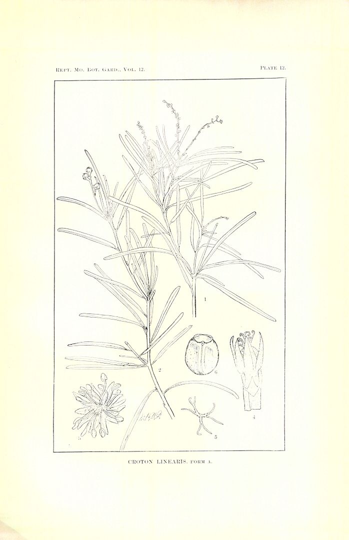 no HD illustration available (3)