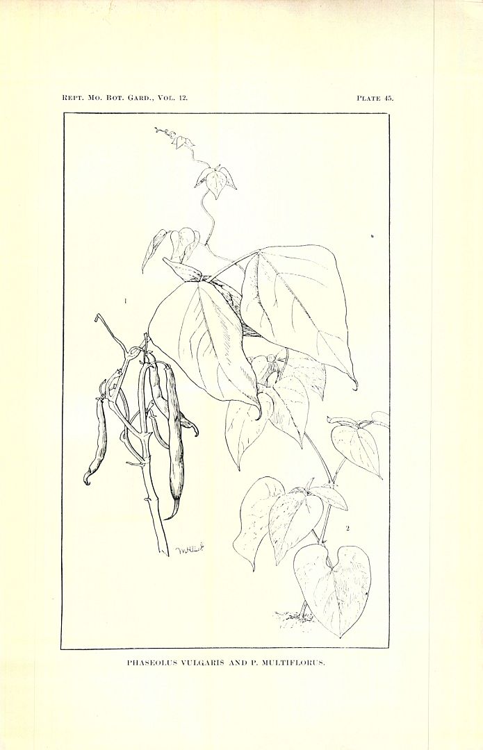 no HD illustration available (3)